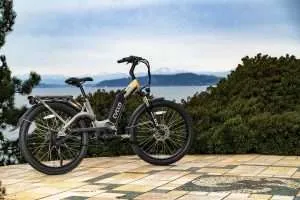 Electric Bikes 101: A Beginner’s Guide to Getting Started