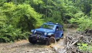 Red River Gorge and the Daniel Boone Backcountry Byway