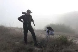Training Hunting Dogs